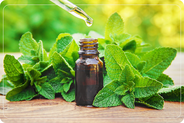 Peppermint Oil